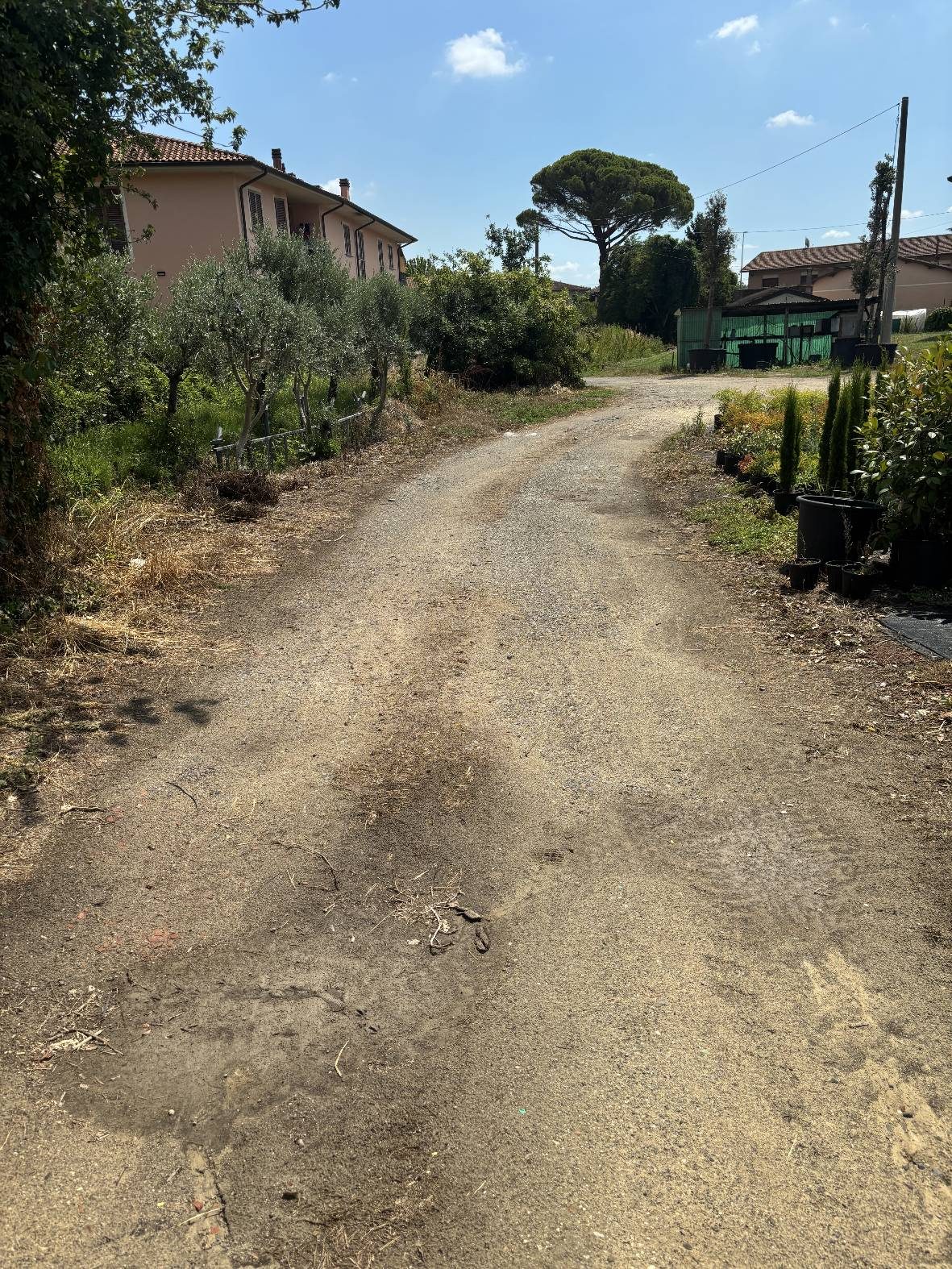 Altra categoria · Pescia (Pistoia)