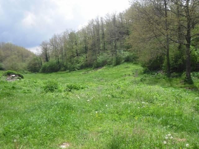 Altra categoria · Agnone (Isernia)