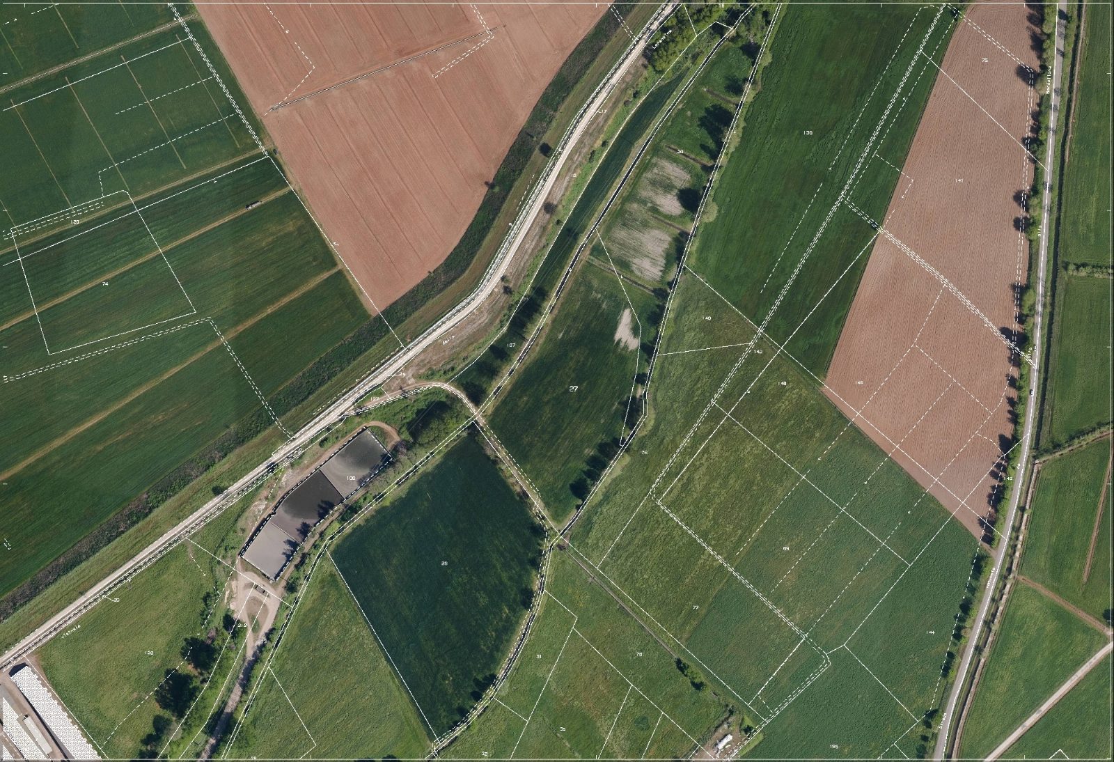 Altra categoria · Goito (Mantova)