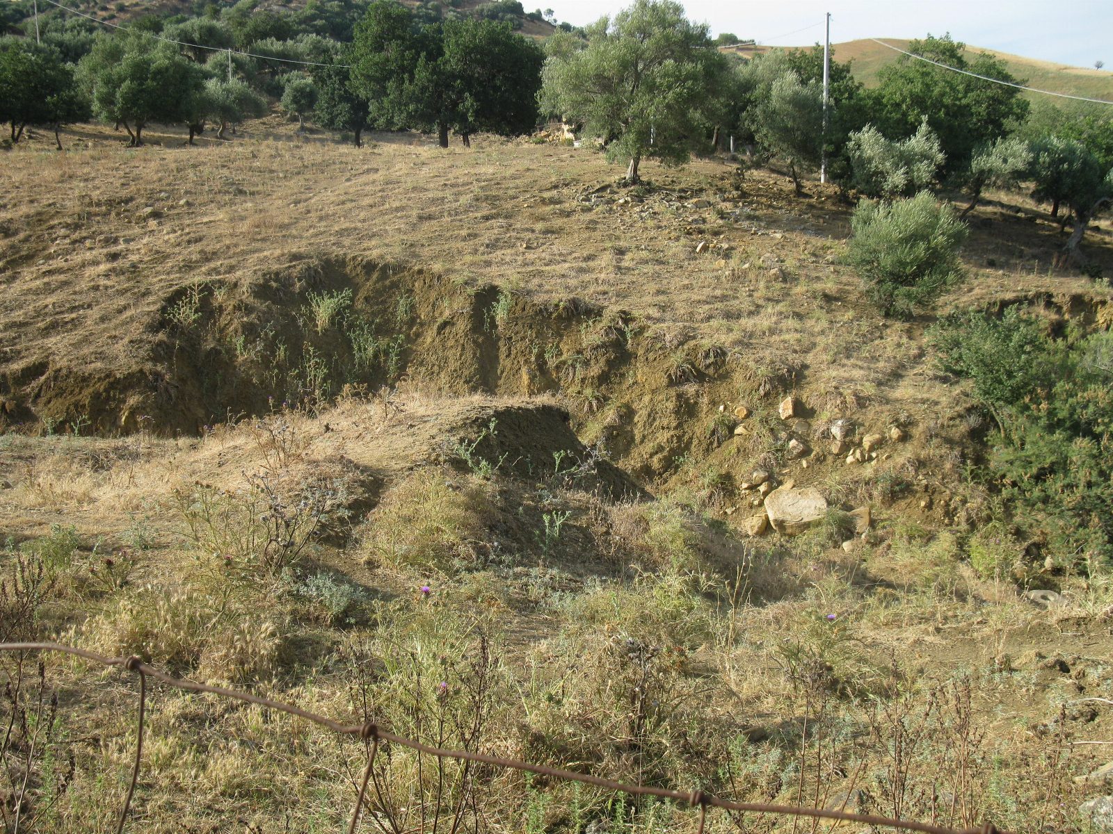 Altra categoria · Enna (Enna)