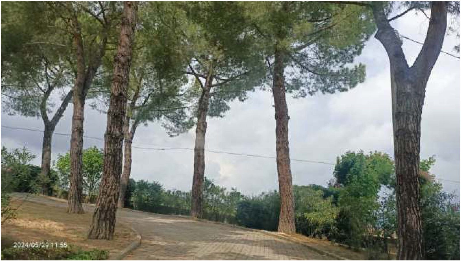 Immobile residenziale · Sant'Elpidio a Mare (Fermo)