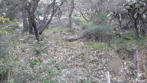 Altra categoria · Calascibetta (Enna)