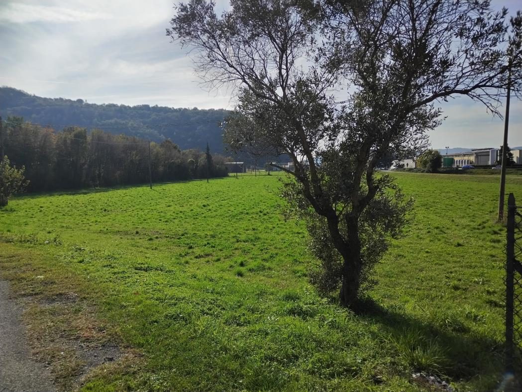 Altra categoria · Trissino (Vicenza)