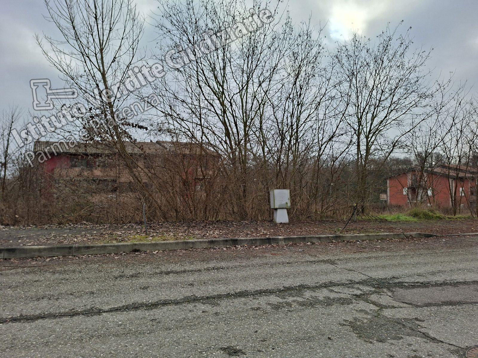 Altra categoria · Medesano (Parma)