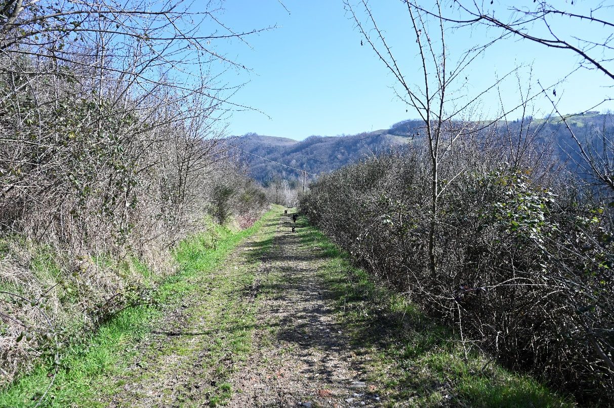 Altra categoria · Pianoro (Bologna)