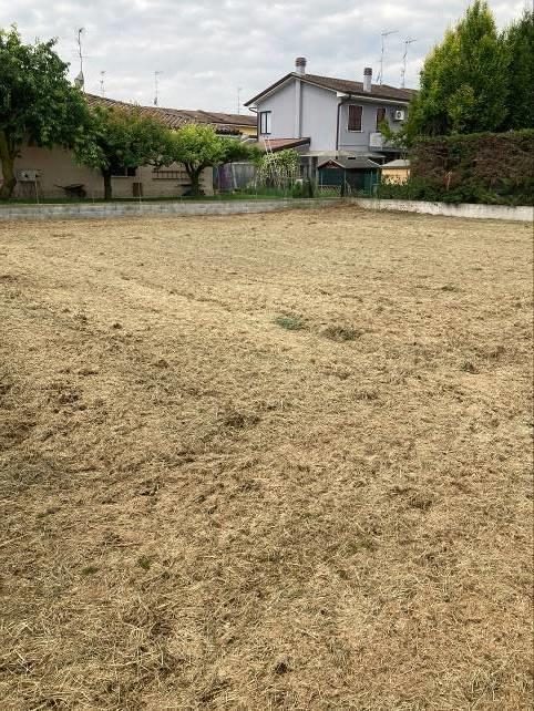 Altra categoria · Curtatone (Mantova)