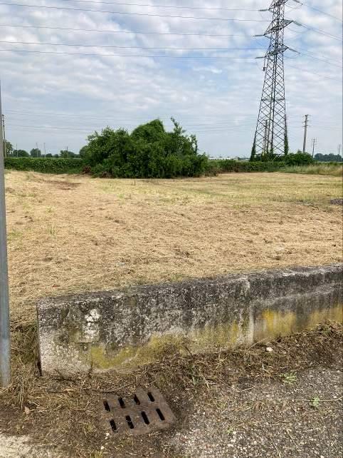 Altra categoria · Curtatone (Mantova)