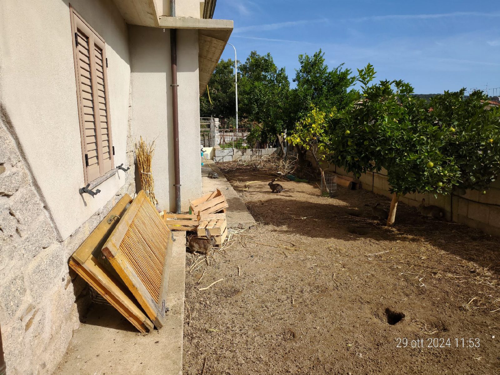 Immobile residenziale · Atzara (Nuoro)