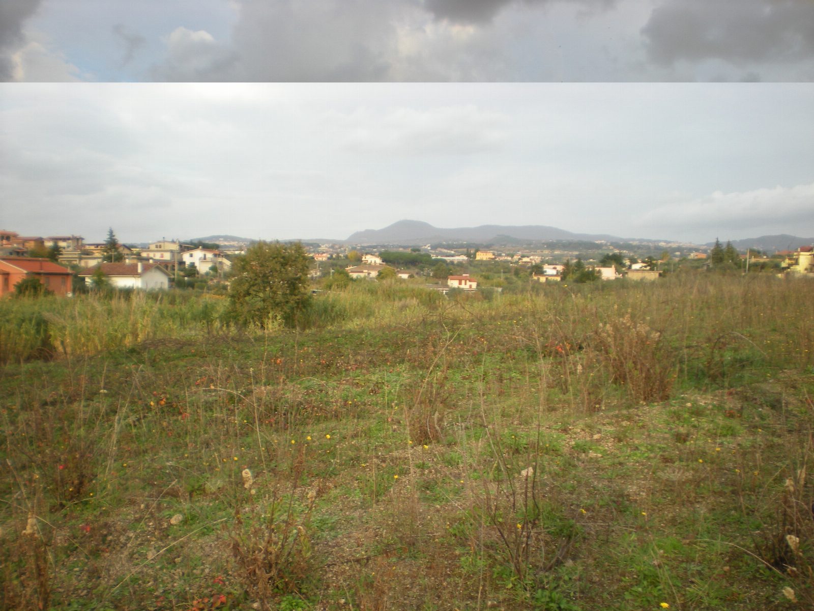 Altra categoria · Ariccia (Roma)