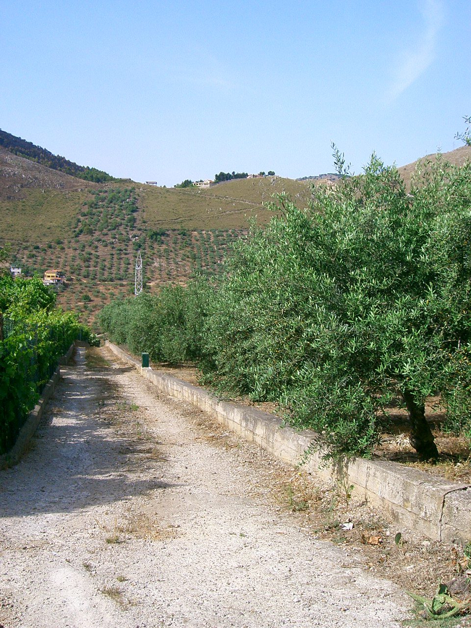 Altra categoria · Belmonte Mezzagno (Palermo)