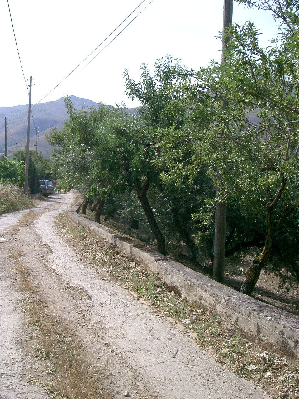 Altra categoria · Belmonte Mezzagno (Palermo)