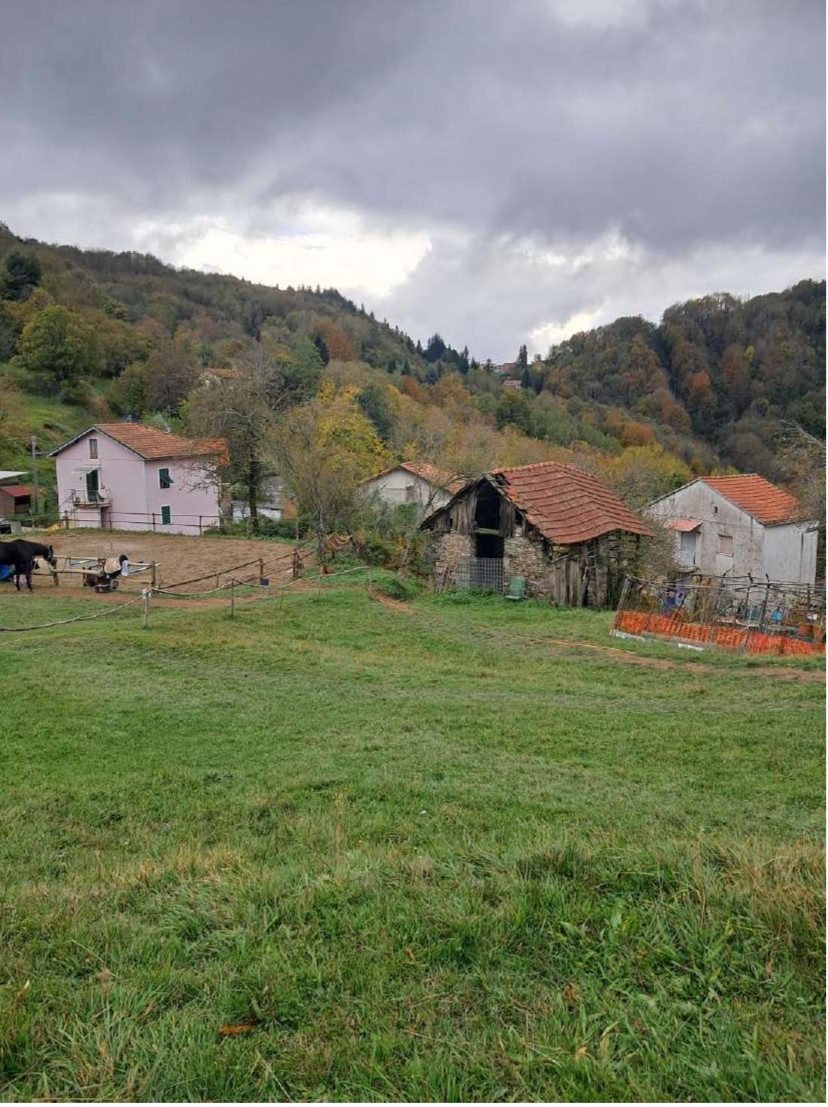 Altra categoria · Torriglia (Genova)