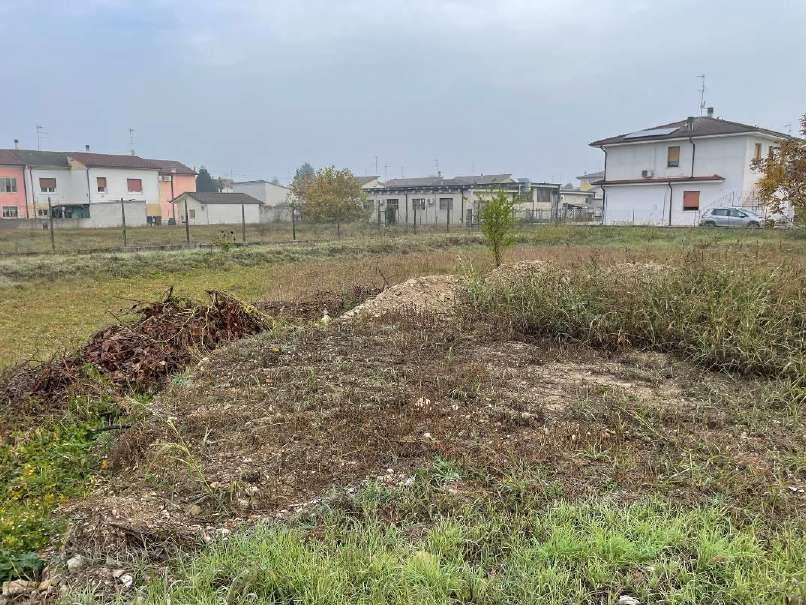 Altra categoria · Goito (Mantova)