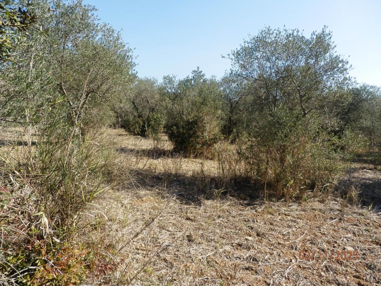 Altra categoria · Montescaglioso (Matera)