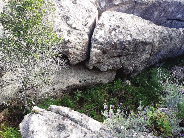 Altra categoria · Arzachena (Sassari)