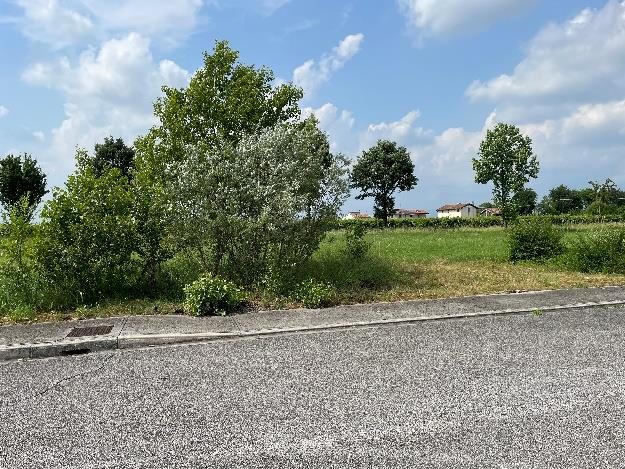 Altra categoria · Pavia di Udine (Udine)