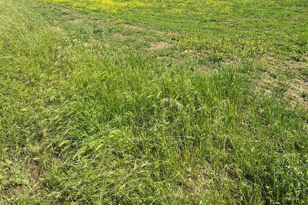 Immobile residenziale · Civitella di Romagna (Forlì-Cesena)