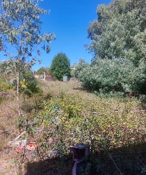 Immobile residenziale · Aprilia (Latina)