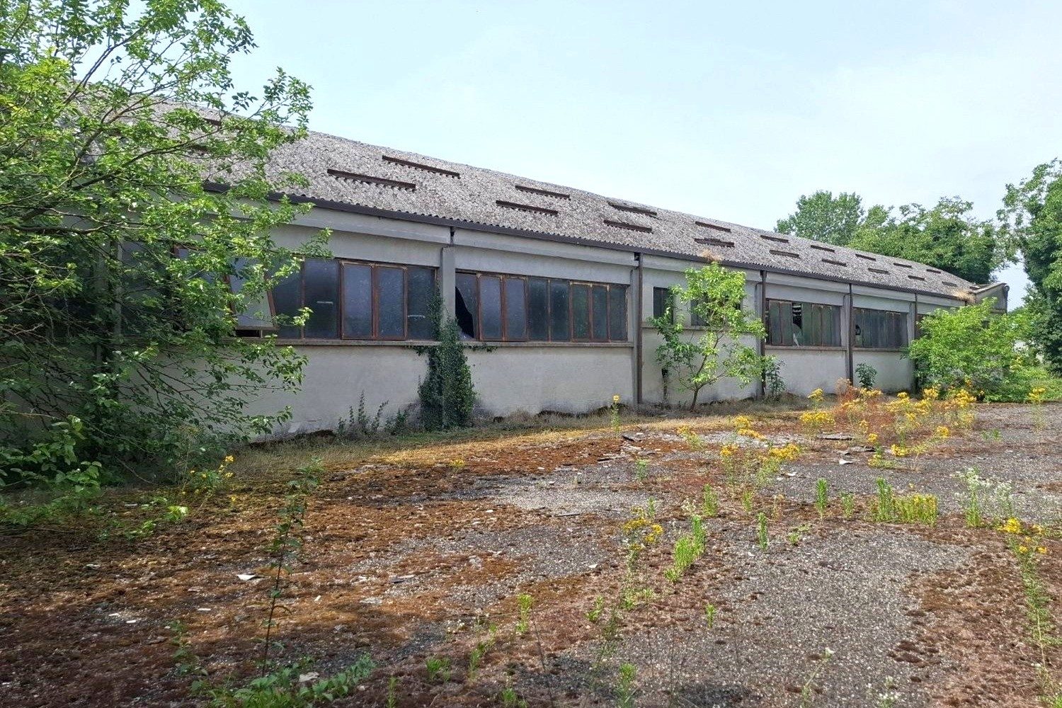 Immobile industriale · Pieve Porto Morone (Pavia)