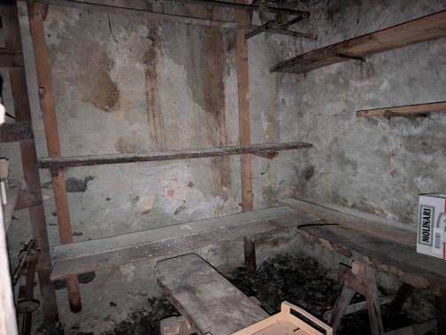 Immobile residenziale · Forcola (Sondrio)
