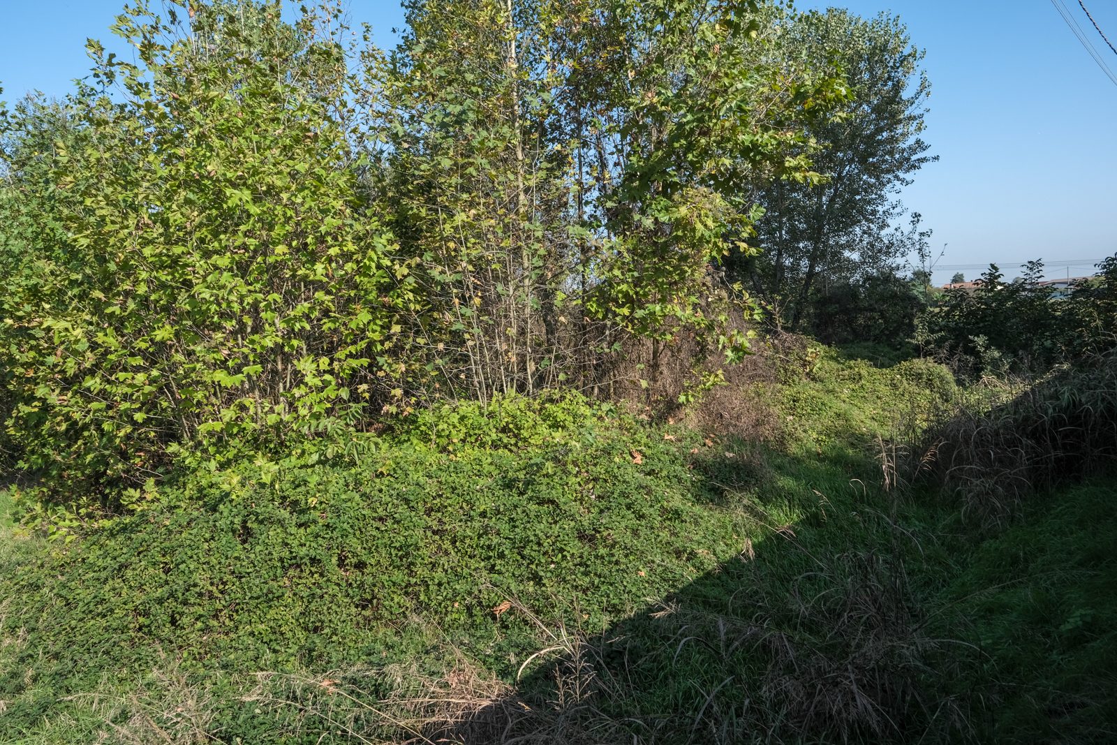 Altra categoria · Inzago (Milano)