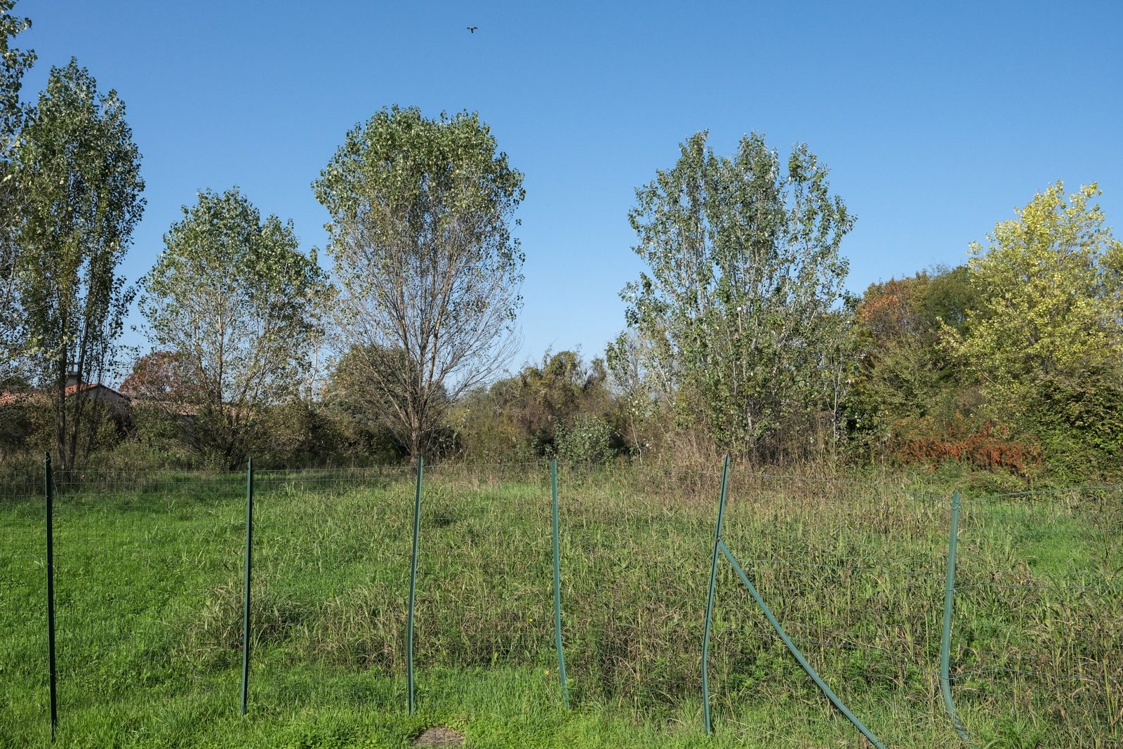 Altra categoria · Inzago (Milano)