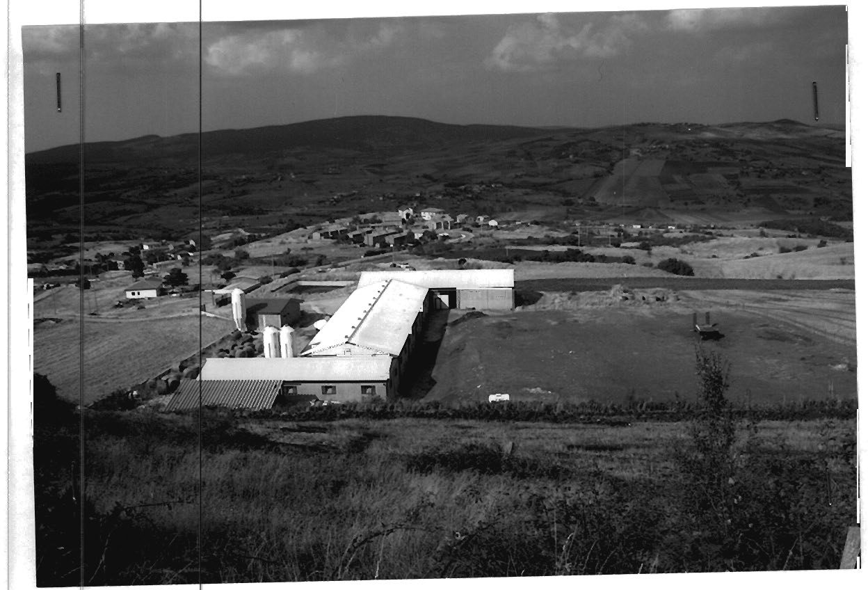 Altra categoria · Avigliano (Potenza)