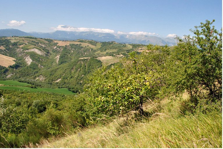 Altra categoria · Venarotta (Ascoli Piceno)