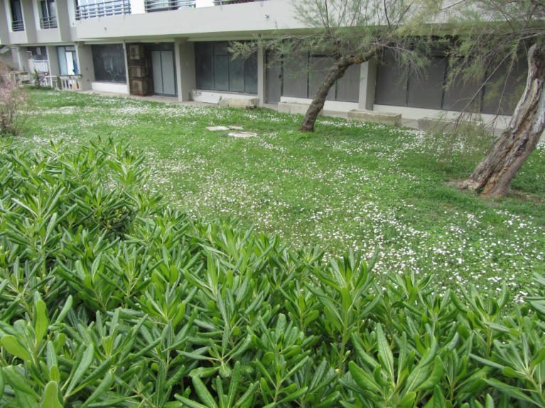 Immobile commerciale · Fano (Pesaro e Urbino)