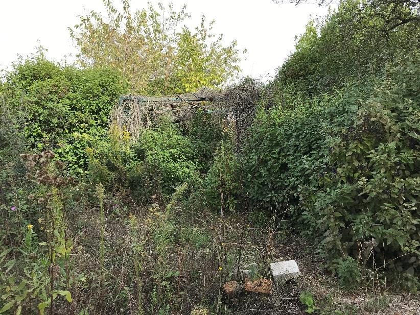 Immobile residenziale · Paternopoli (Avellino)