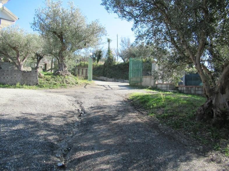 Altra categoria · Zagarise (Catanzaro)