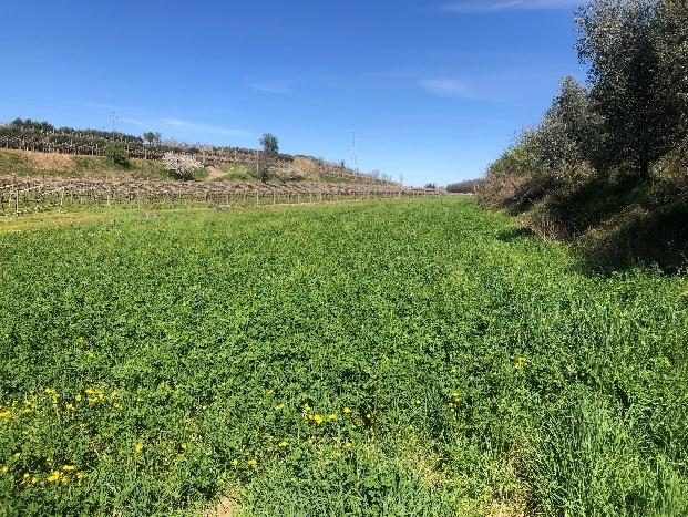 Immobile commerciale · Sona (Verona)