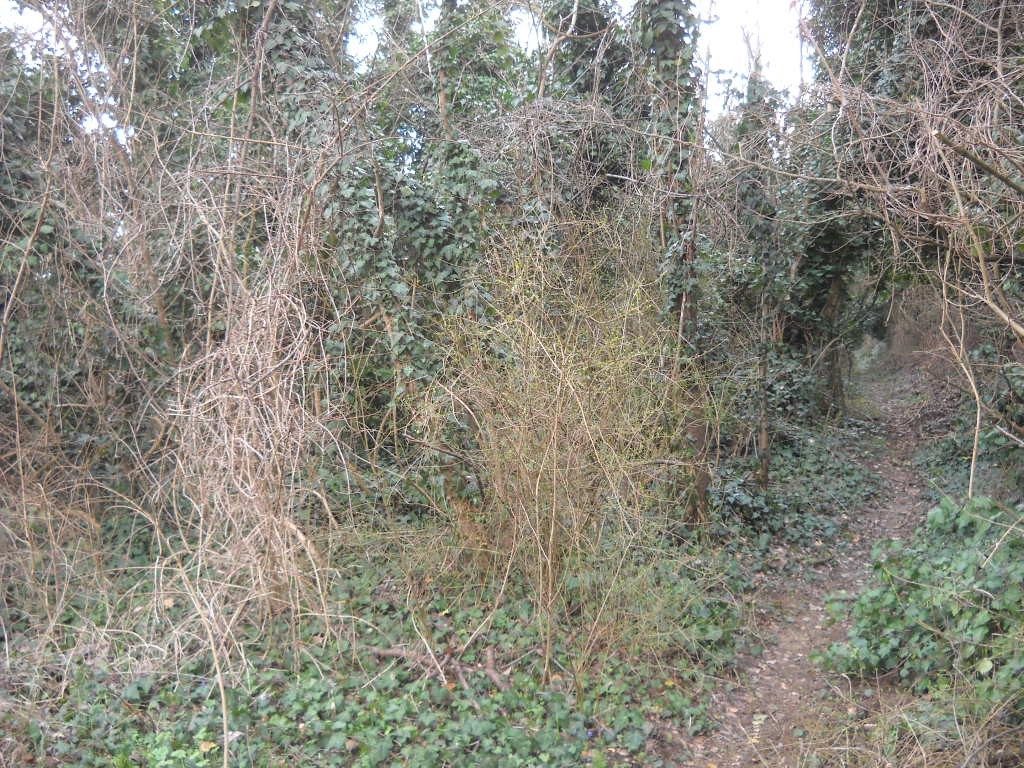 Altra categoria · Valenza (Alessandria)