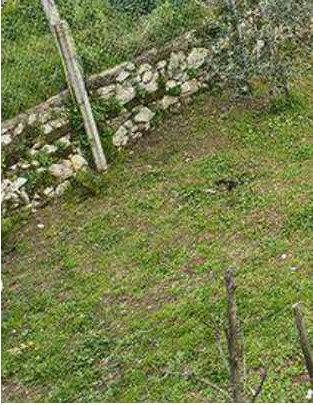 Immobile residenziale · San Felice a Cancello (Caserta)