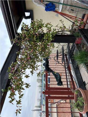 Immobile commerciale · Mozzanica (Bergamo)