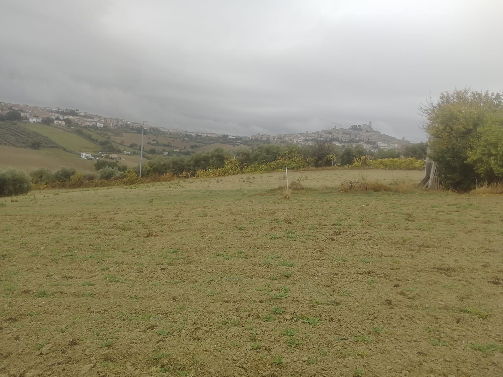 Altra categoria · Fermo (Fermo)