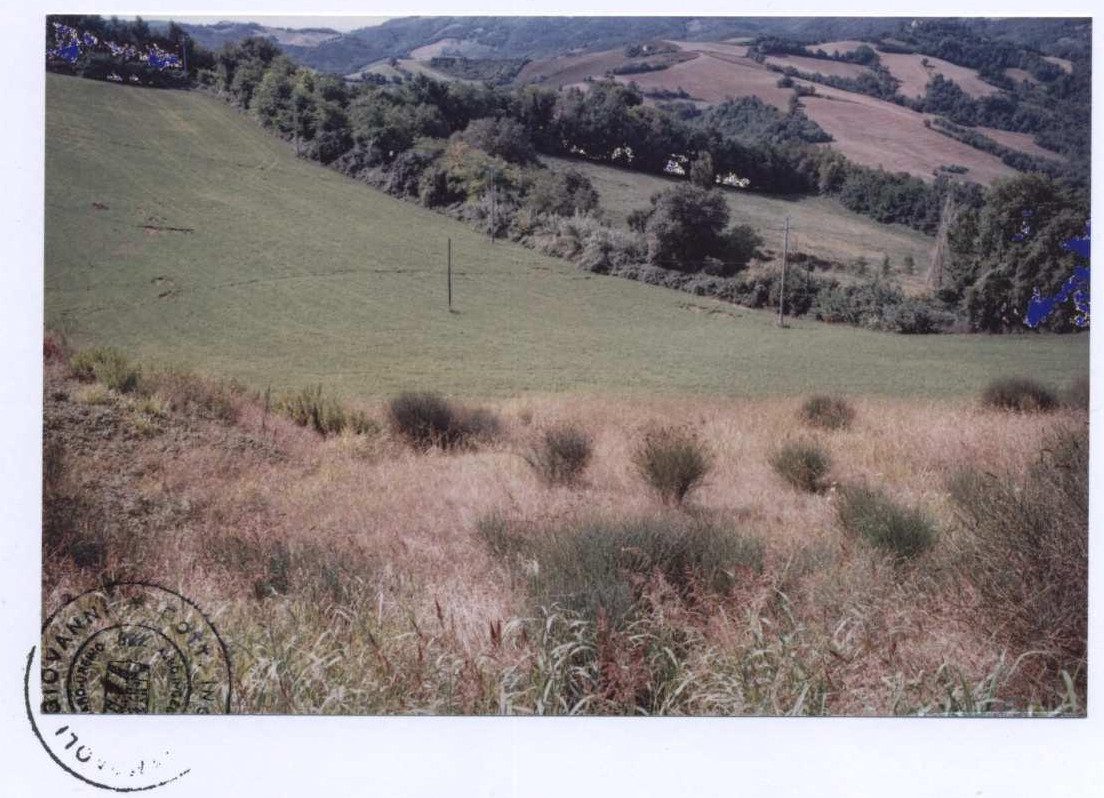 Altra categoria · Monteciccardo (Pesaro e Urbino)
