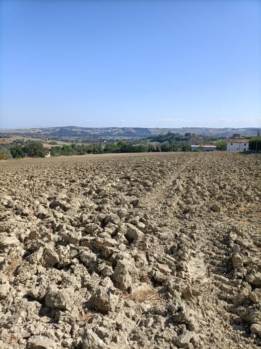 Altra categoria · Mondolfo (Pesaro e Urbino)