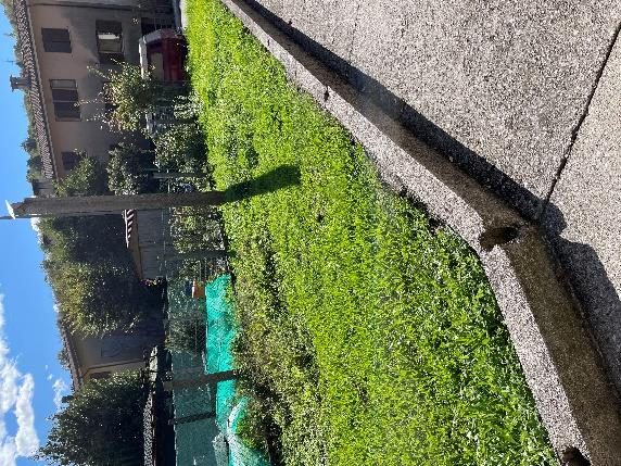 Immobile residenziale · Bordano (Udine)