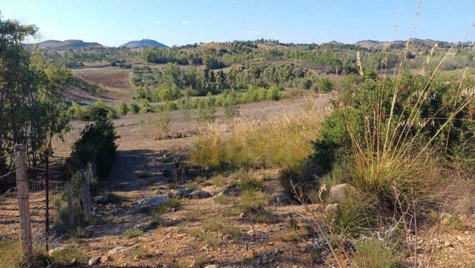 Altra categoria · Serrenti (Sud Sardegna)