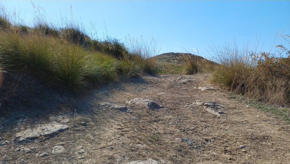 Altra categoria · Serrenti (Sud Sardegna)