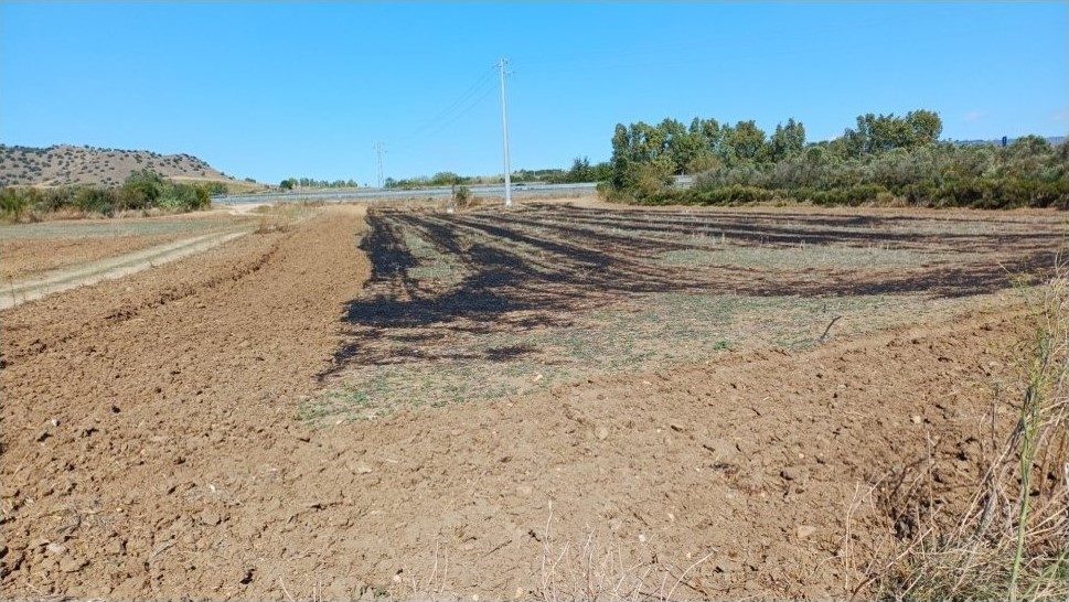 Altra categoria · Serrenti (Sud Sardegna)