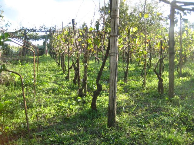 Immobile residenziale · Ceccano (Frosinone)