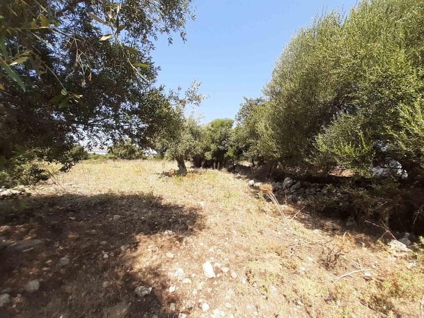 Altra categoria · Melilli (Siracusa)