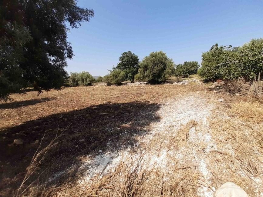 Altra categoria · Melilli (Siracusa)