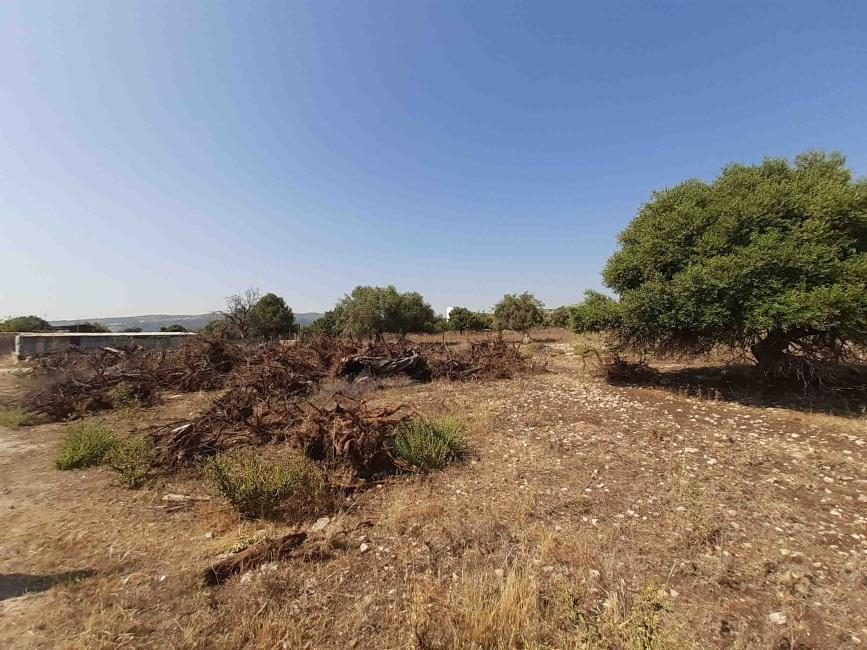 Altra categoria · Melilli (Siracusa)
