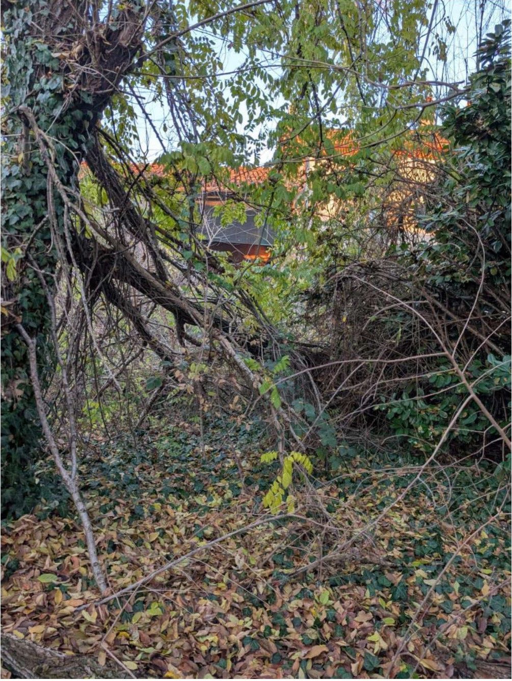 Immobile residenziale · Cingia de' Botti (Cremona)
