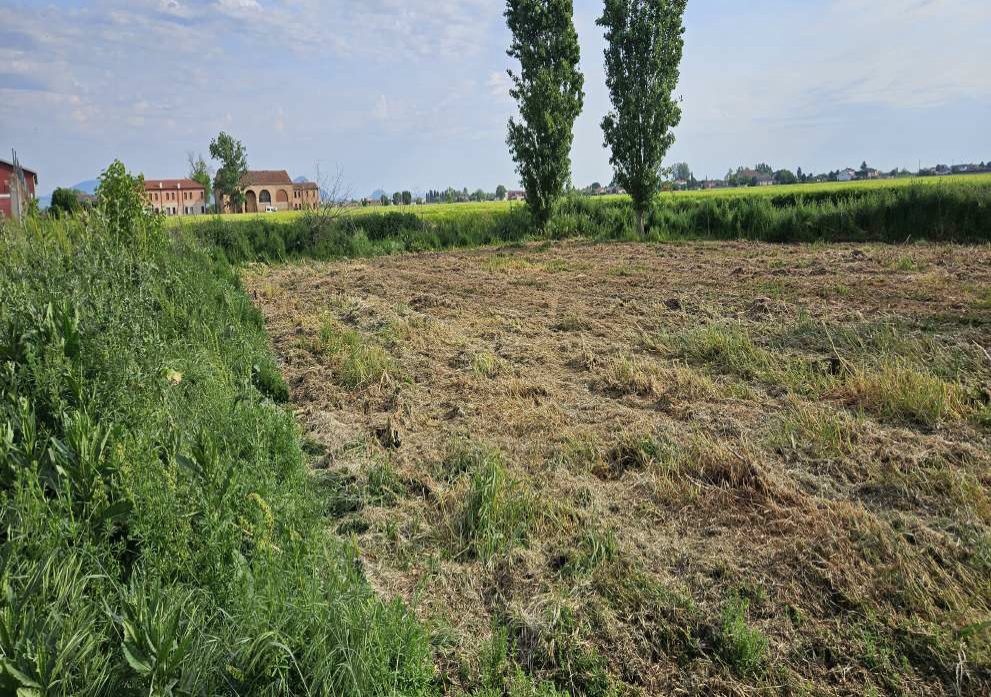 Altra categoria · Granze (Padova)