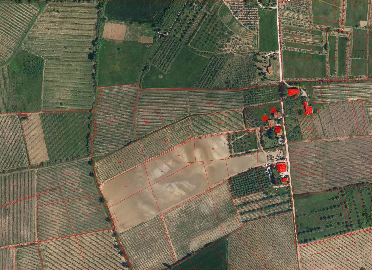 Altra categoria · Vinci (Firenze)