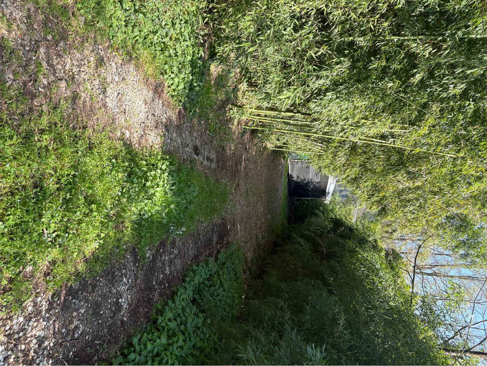 Immobile commerciale · Borgo a Mozzano (Lucca)